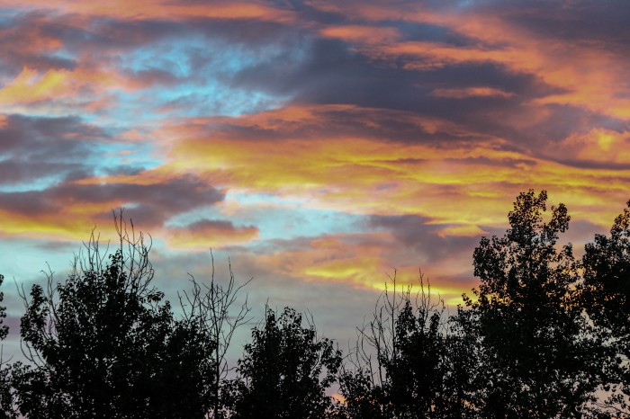 Górnik Polkowice - Hutnik fot. Paweł Jerzmanowski (27).jpg