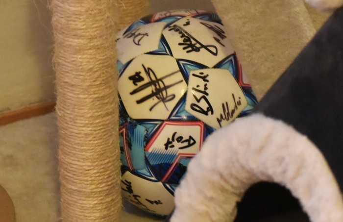 Hutnik - Motor Lublin fot. Andrzej Łucjan (29).JPG