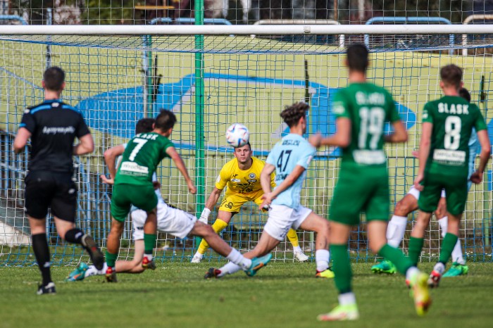 Hutnik - Śląsk II fot. Edyta i Paweł Jerzmanowscy (22).jpg